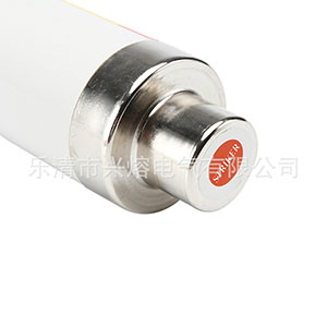 XRNT-12/63A限流熔断器