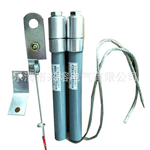 BRN-12/100A/68P限流熔断器