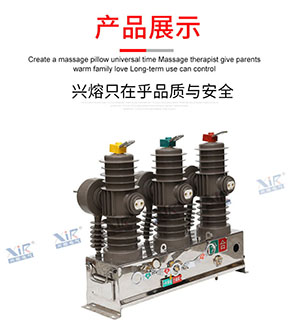 bsports直销柱上真空断路器ZW43-12/630-20 户外高压真空断路器10KV