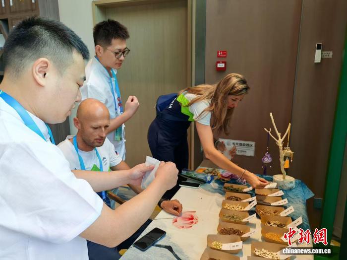 外籍运动员体验中医理疗 获赞精准调理缓解疲劳