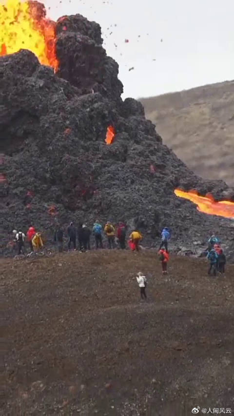 仿生机器人Origin F1突破技术壁垒引发热议